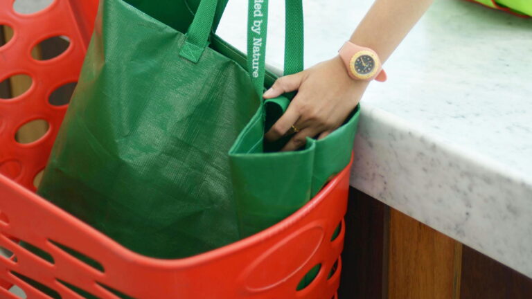 China’s Green Consumption Push: Subsidies for Appliances and Reduction of Single-Use Plastics