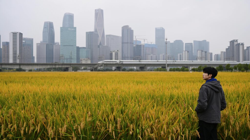 China Approves 15th Five-Year Plan for Agricultural and Rural Modernization