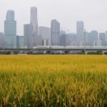 China Approves 15th Five-Year Plan for Agricultural and Rural Modernization