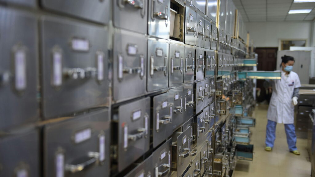 China Strengthens Drug Trial Data Protection Rules for Innovative and Generic Medicines