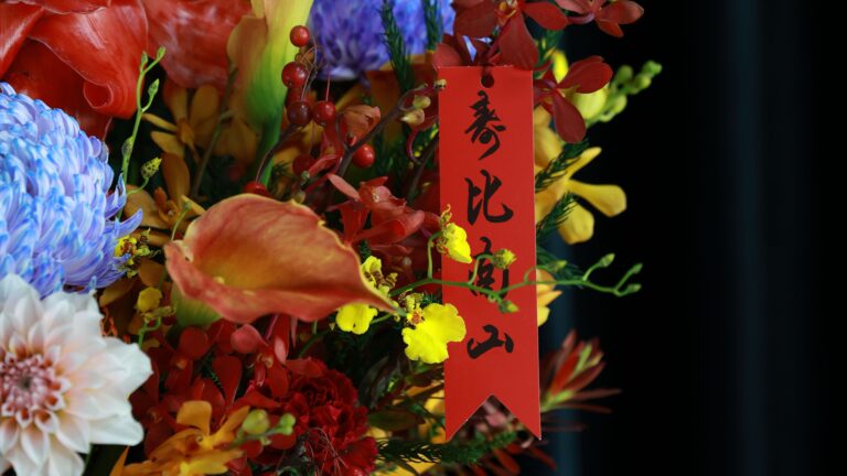 Official Launch of China Insights