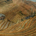 China’s 15th Five-Year Plan for Soil, Groundwater and Rural Environmental Protection
